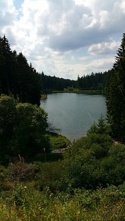 Wenn der See im Harz nicht so tief und nass wäre, würde ich ja glatt...